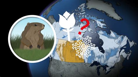 This Groundhog Day forecast may spoil Friday's predictions - The ...