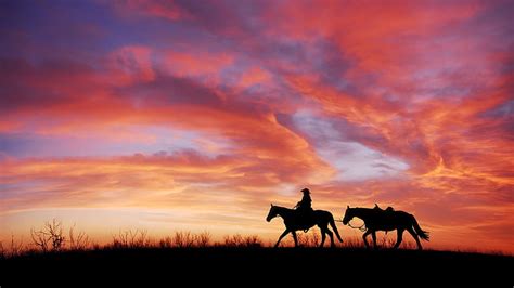 HD wallpaper: 4K, Horses, Silhouette, Cowboy, Sunset | Wallpaper Flare