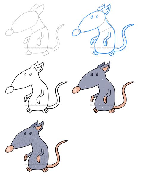 How To Draw A Cartoon Rat With A Unique Look | Cartoon rat, Rat drawn cute, Make a cartoon