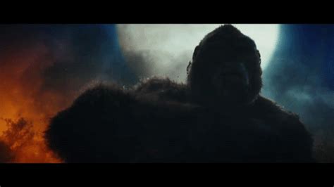 King Kong Gif - King Kong Fan Art (40028949) - Fanpop