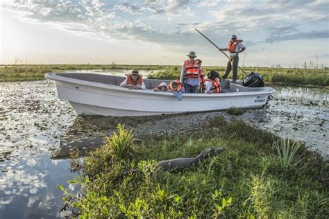 Argentina's Astonishing Range of Wildlife | TravelPulse