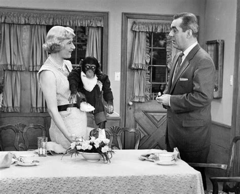 1950s TV Shows: A Guide to 101 Classic TV Shows From the Decade