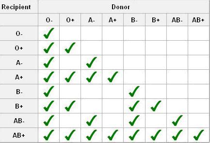 aadhilnet: Blood Group Match Chart, Blood type, Blood receivers (Blood ...