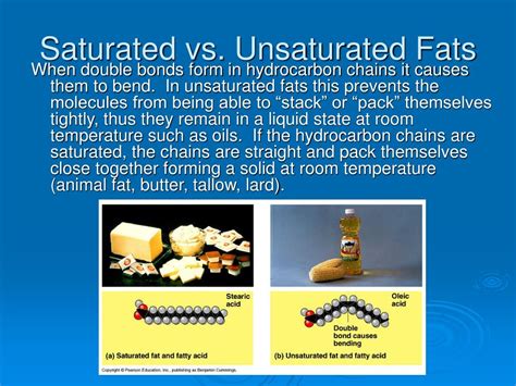 Difference Between Saturated And Unsaturated Fats | My XXX Hot Girl