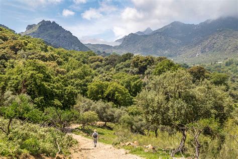 What to do in the Grazalema Natural Park? - Villas & Fincas