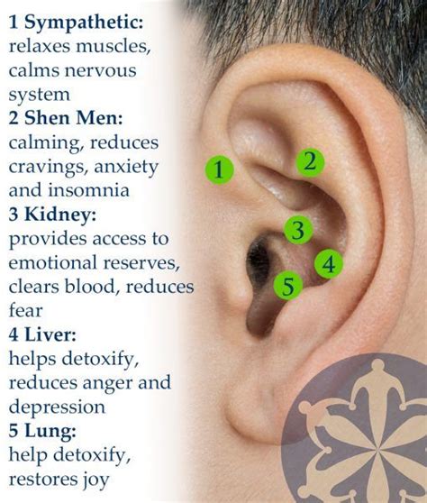 New acudetox therapy offers acupuncture for improved behavioral health – Artofit