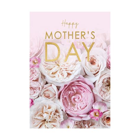 Pink Roses Mother's Day Card - CB Gold