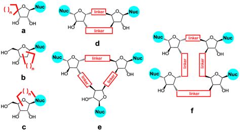 Schematic representation of families of cyclic nucleoside analogues... | Download Scientific Diagram