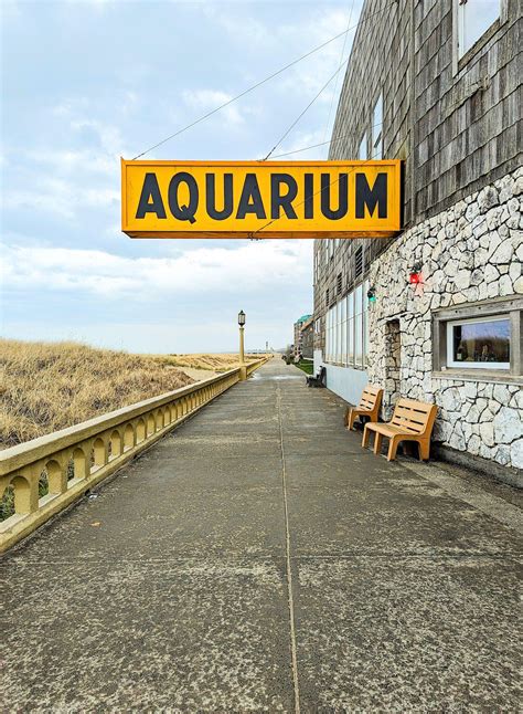 Seaside Aquarium | Accidentally Wes Anderson