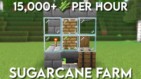 EASY 1.20+ Sugarcane Farm For Minecraft Bedrock : MCPE 2022 - YouTube