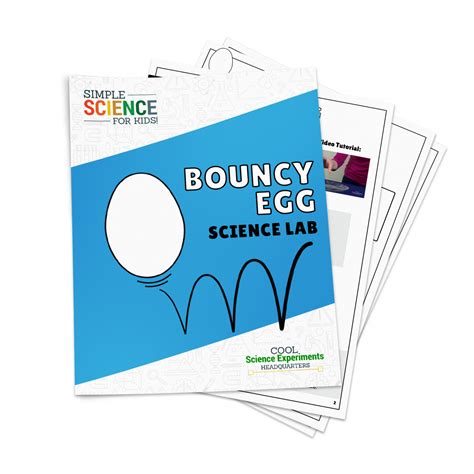 Bouncy Egg Science Lab Kit - Cool Science Experiments Headquarters in 2023 | Cool science ...