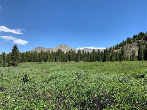 Photos of Lost Lake Trail - Colorado | AllTrails