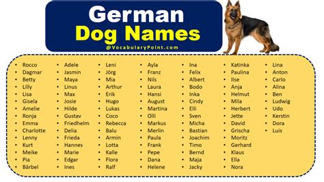 350+ Most Popular German Dog Names - Vocabulary Point