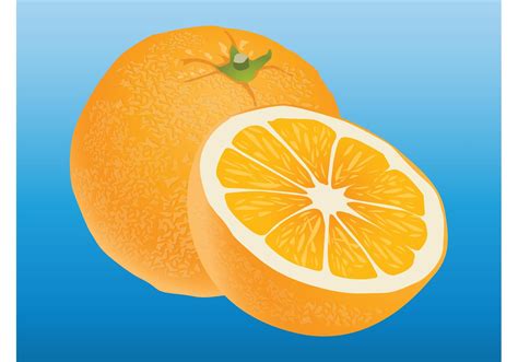 Orange - Download Free Vector Art, Stock Graphics & Images