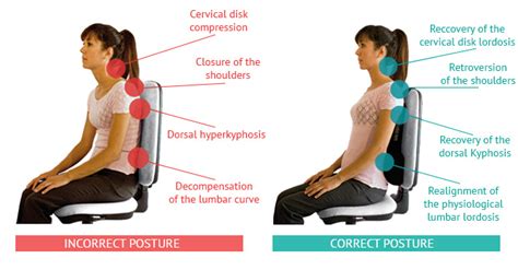 Try Komfort Cushion: Find out all the Benefits of a good Posture