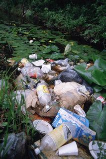 Litter pollution in wetland area | USFWS/Ryan Hagerty In the… | Flickr