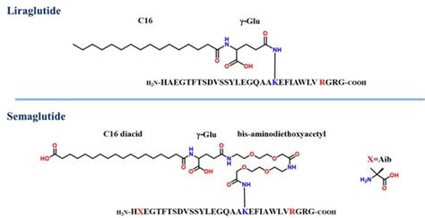 Long Acting GLP-1 Receptor Agonist Drugs Lists and Overview | Biopharma PEG