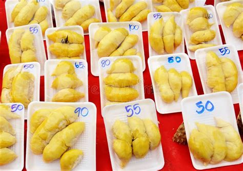 Durian fruit thai stock photo. Image of expensive, outside - 42945972