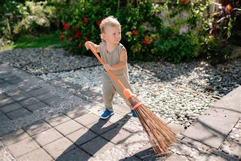 Yard Clean-up Checklist: Tick Edition – Mosquito Shield