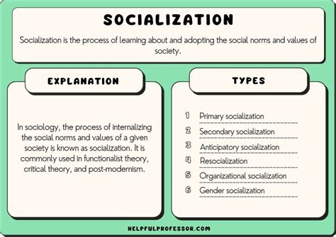 Socialization in Sociology (Definition, Types, 10 Examples) (2024)