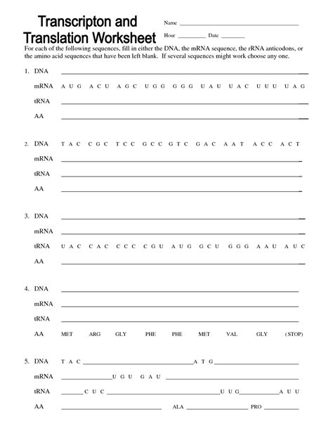 Dna Replication Transcription Translation Lab Worksheet