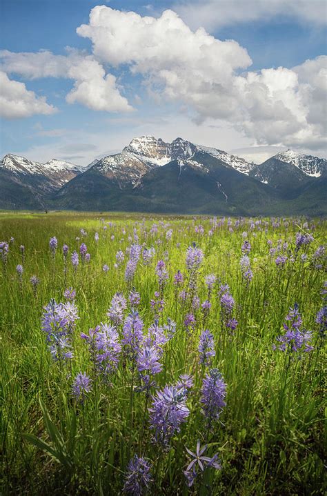 Mission Mountains / Ronan, Montana Photograph by Nicholas Parker