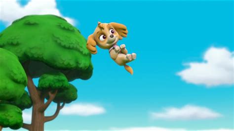 Skye, the Cockapoo - PAW Patrol Photo (40719587) - Fanpop