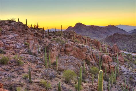 11 Weird and Wonderful Reasons to Visit Tucson | Travel, Sonoran desert, Mexico travel