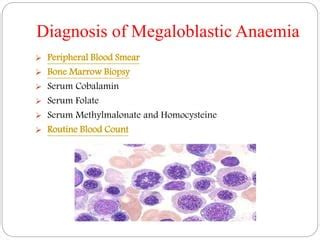 Megaloblastic Anaemia: Symptoms, causes, diagnosis, treatment and ...