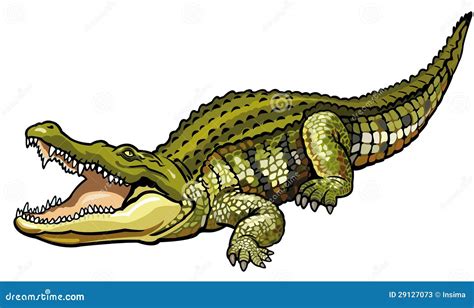 Nile Crocodile Stock Photos - Image: 29127073