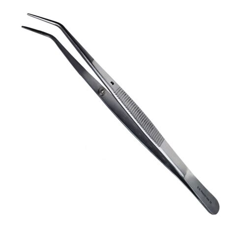 DENTAL INTRUMENT COTTON PLIER COLLEGE #317 TWEEZER 099-0317 STAINLESS STEEL | eBay