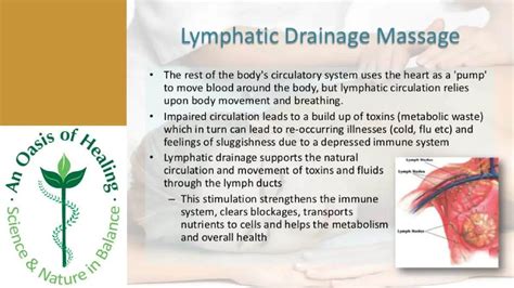 Lymphatic Drainage Massage Benefits - An Oasis of Healing