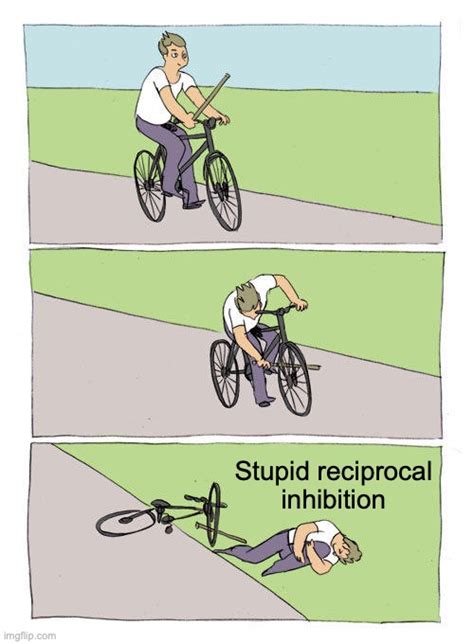 Does Reciprocal Inhibition Actually Happen? - DeanSomerset.com