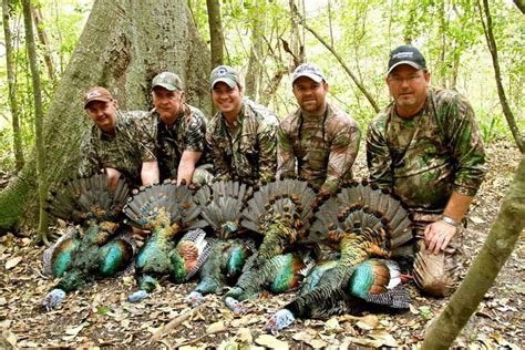 Marian's Hunting Stories, etc., etc., etc...: An Ocellated Turkey Hunt
