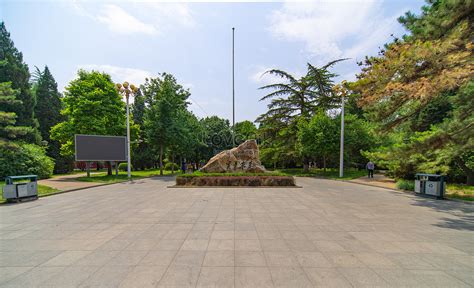 Renmin University Of China Campus Picture And HD Photos | Free Download On Lovepik