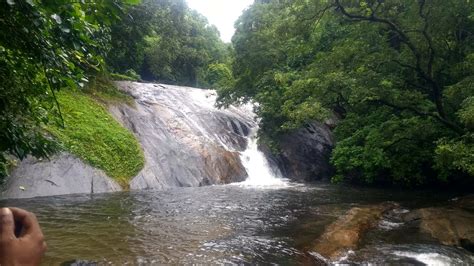 Dhoni Falls Palakkad | Waterfall, Western ghats, Tourist