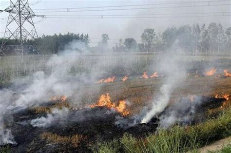 Shocking! Air Pollution Costs India $30 Billion a Year from Stubble Burning