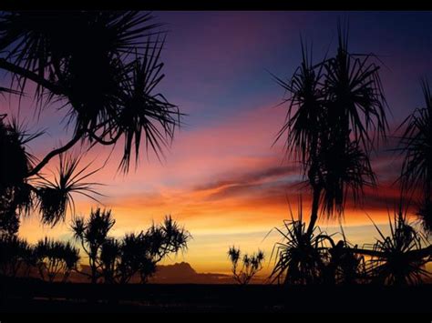 Pin by Dennis Mac on Country themed silhouette | Sunset, Sunrise sunset, Sunrise