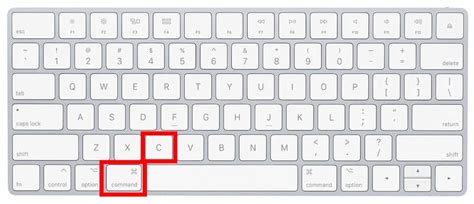 How to Copy and Paste on Mac | Macinstruct