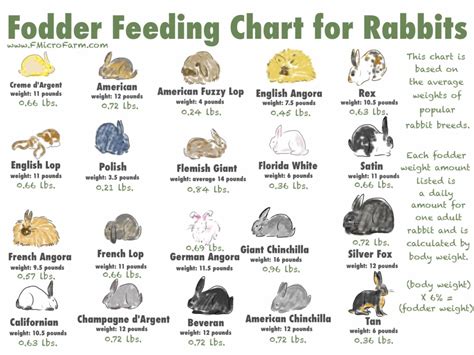 Printable Rabbit Diet Chart