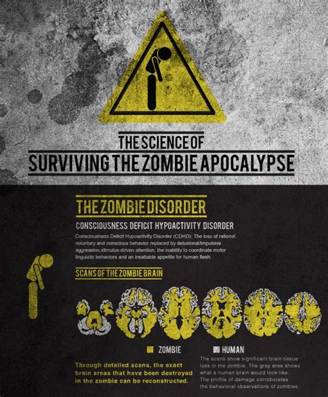 How to Survive the Zombie Apocalypse Using Science | WIRED