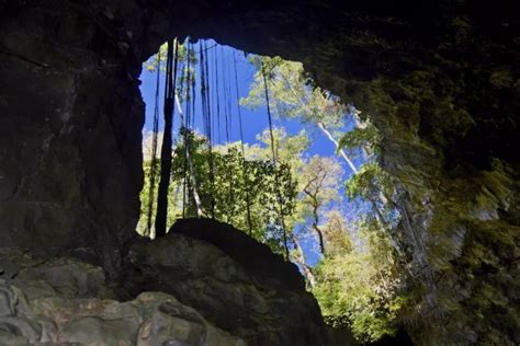 Bonito Caves: Cave Diving in Brazil | X-Ray Mag