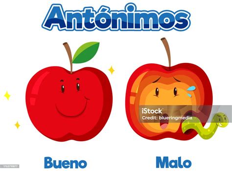 Educational Antonyms Spanish Picture Word Card Good And Bad Stock ...