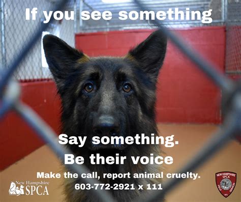 Animal Cruelty Awareness - NHSPCA