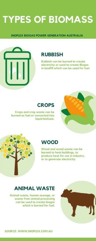 What is biomass? | Inoplex | Biogas Power Generation Australia