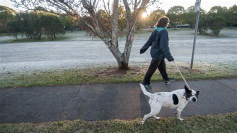 Brisbane weather: Temperatures drop below 0C in parts of the QLD | The Courier Mail