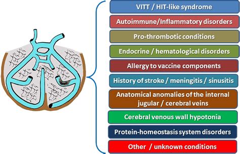 Causes Of Cavernous Sinus Thrombosis