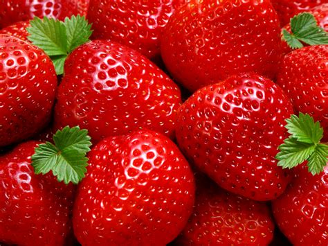 Fresh Strawberries Photography HD Wallpapers ~ Desktop Wallpaper