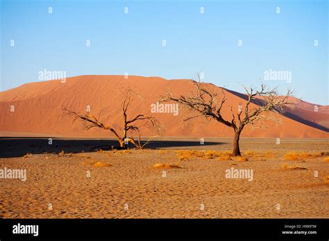 Namib desert landscape, Namibia Stock Photo - Alamy