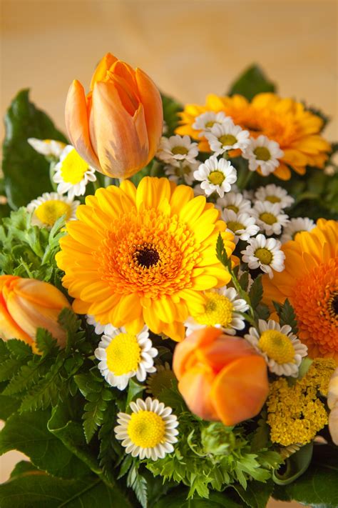 Orange Bouquet Free Stock Photo - Public Domain Pictures